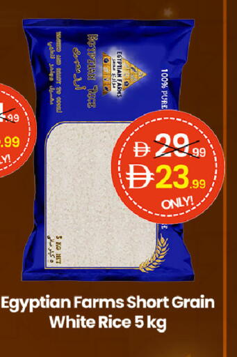 available at  ELITE BASKET SUPERMARKET L.L.C. SP in UAE - Sharjah / Ajman