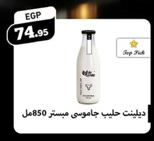 available at أولاد رجب in Egypt - القاهرة