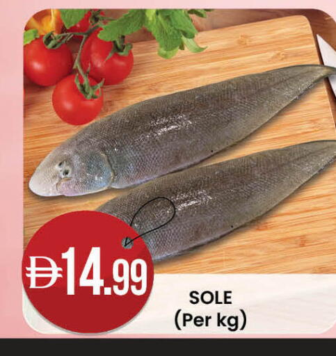 available at ك. إم. هايبرماركت in الإمارات العربية المتحدة , الامارات - أبو ظبي