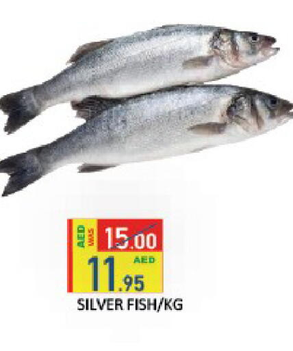 available at ROYAL GULF HYPERMARKET LLC in UAE - Abu Dhabi