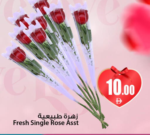 available at أنصار جاليري in الإمارات العربية المتحدة , الامارات - دبي