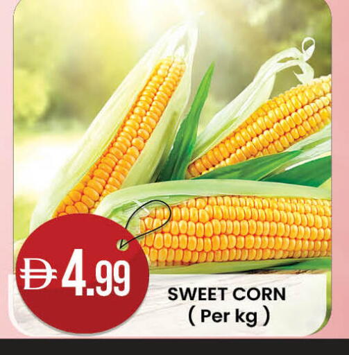 available at ك. إم. هايبرماركت in الإمارات العربية المتحدة , الامارات - أبو ظبي