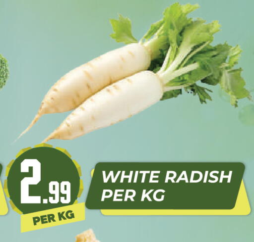 Radish available at دريم لاند in الإمارات العربية المتحدة , الامارات - دبي
