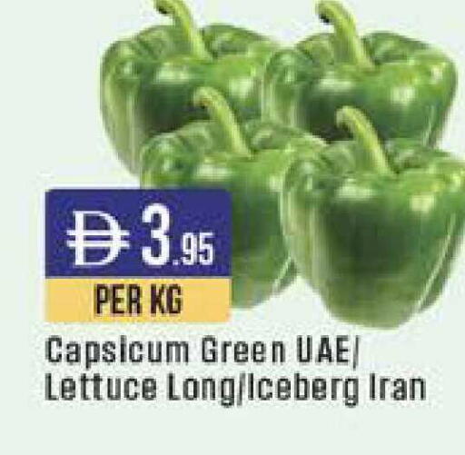 Capsicum Lettuce from Iran available at ويست زون سوبرماركت in الإمارات العربية المتحدة , الامارات - الشارقة / عجمان