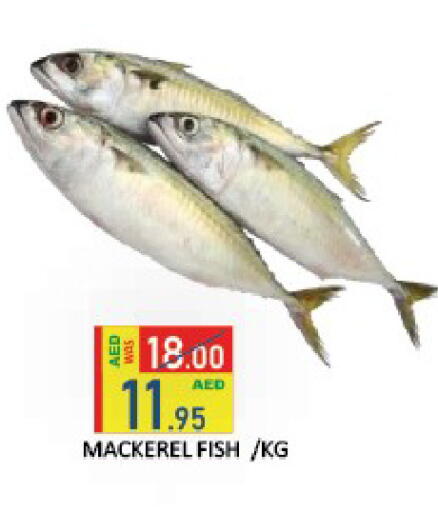 available at ROYAL GULF HYPERMARKET LLC in UAE - Abu Dhabi