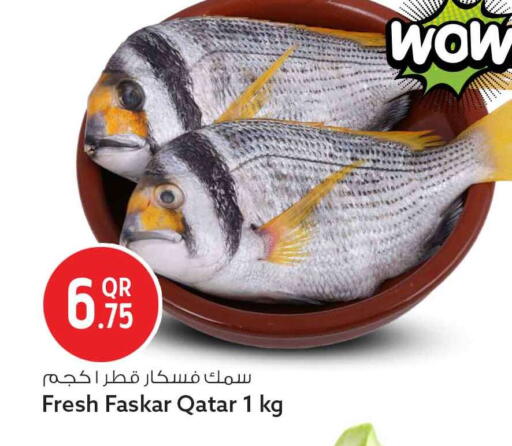 available at سفاري هايبر ماركت in قطر - الوكرة