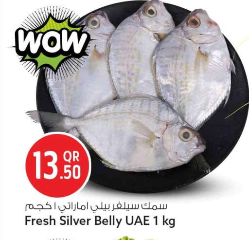 available at سفاري هايبر ماركت in قطر - الوكرة