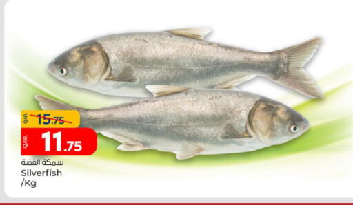 available at Paris Hypermarket in Qatar - Doha