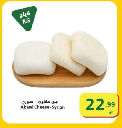 available at Al Raya in KSA, Saudi Arabia, Saudi - Ta'if