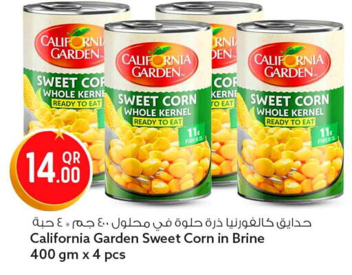 available at سفاري هايبر ماركت in قطر - الريان