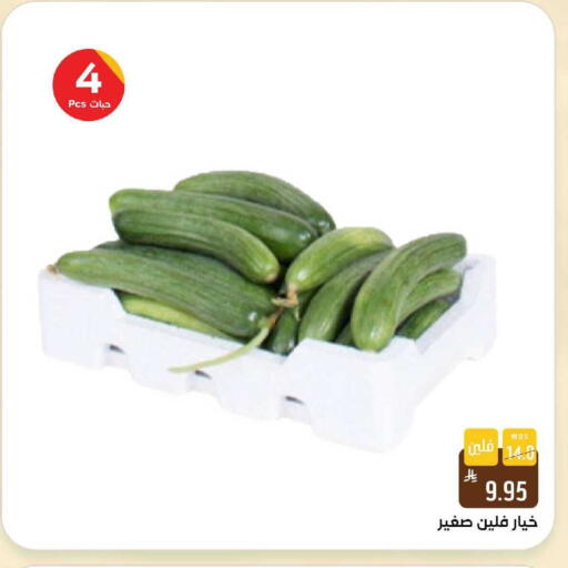 available at شبرا الطائف in مملكة العربية السعودية, السعودية, سعودية - الطائف