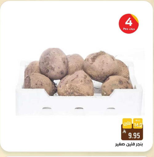 available at شبرا الطائف in مملكة العربية السعودية, السعودية, سعودية - الطائف