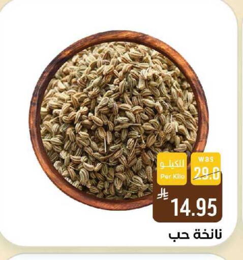 available at Shubra AlTaif in KSA, Saudi Arabia, Saudi - Ta'if