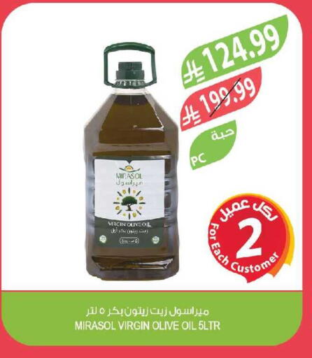 available at Farm  in KSA, Saudi Arabia, Saudi - Al-Kharj