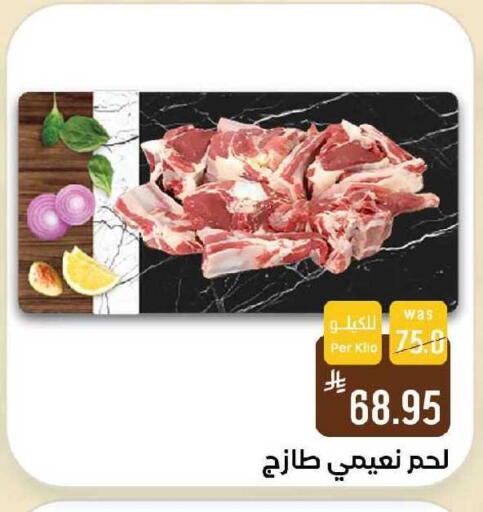 available at شبرا الطائف in مملكة العربية السعودية, السعودية, سعودية - الطائف