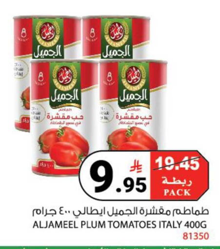 Plum Tomato available at House Care in KSA, Saudi Arabia, Saudi - Mecca