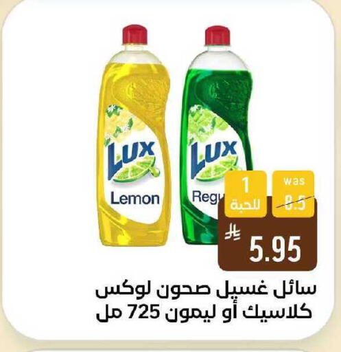 Lemon available at Shubra AlTaif in KSA, Saudi Arabia, Saudi - Ta'if