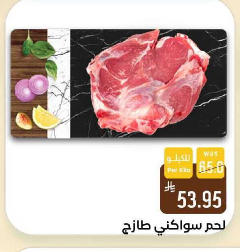 available at شبرا الطائف in مملكة العربية السعودية, السعودية, سعودية - الطائف