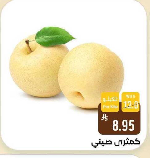 available at Shubra AlTaif in KSA, Saudi Arabia, Saudi - Ta'if