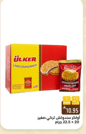 available at شبرا الطائف in مملكة العربية السعودية, السعودية, سعودية - الطائف