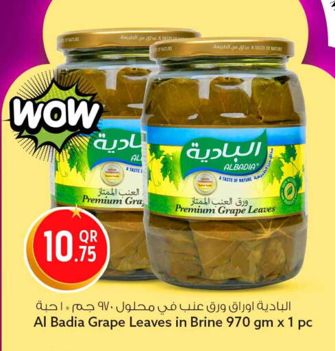 available at سفاري هايبر ماركت in قطر - الريان