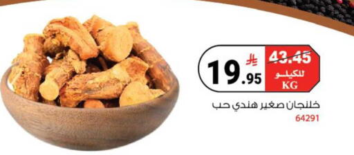 available at هاوس كير in مملكة العربية السعودية, السعودية, سعودية - مكة المكرمة
