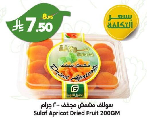 Apricot available at الدكان in مملكة العربية السعودية, السعودية, سعودية - الطائف