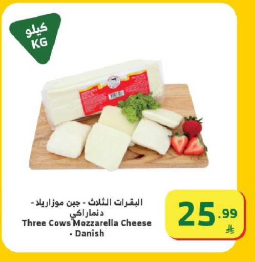 available at Al Raya in KSA, Saudi Arabia, Saudi - Ta'if