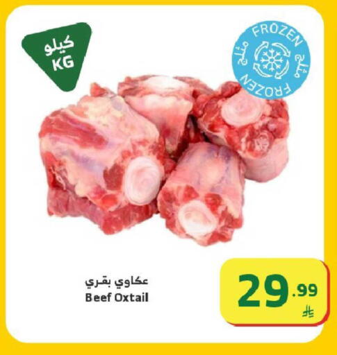 available at Al Raya in KSA, Saudi Arabia, Saudi - Ta'if