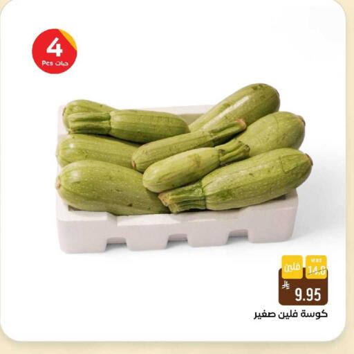 available at شبرا الطائف in مملكة العربية السعودية, السعودية, سعودية - الطائف