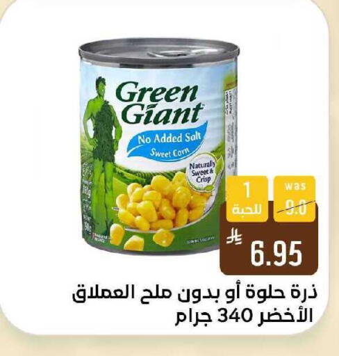 available at Shubra AlTaif in KSA, Saudi Arabia, Saudi - Ta'if