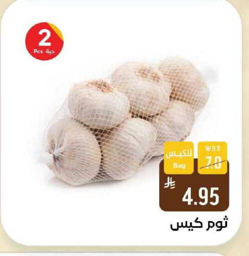 available at شبرا الطائف in مملكة العربية السعودية, السعودية, سعودية - الطائف