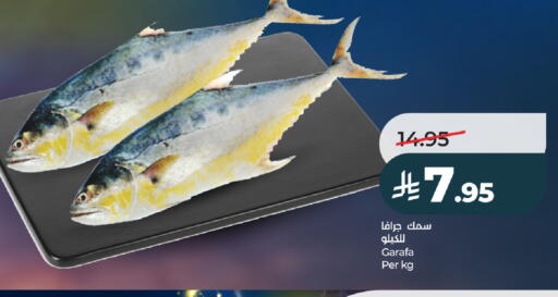 available at LULU Hypermarket in KSA, Saudi Arabia, Saudi - Ta'if