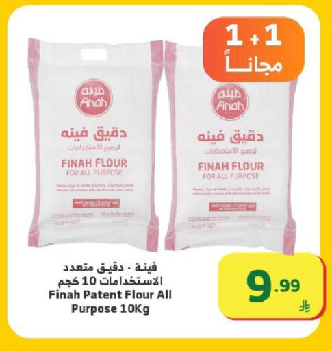 available at Al Raya in KSA, Saudi Arabia, Saudi - Ta'if