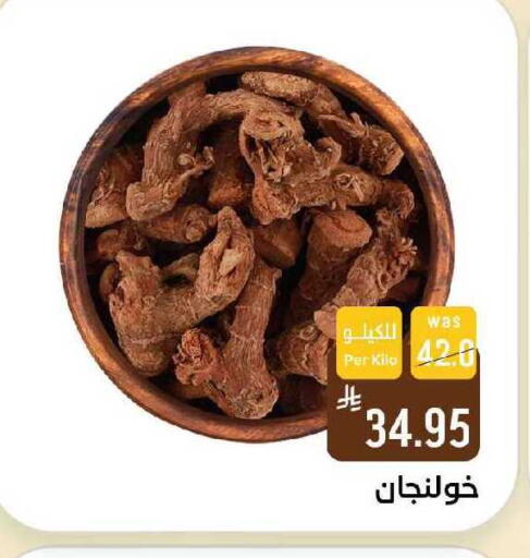available at Shubra AlTaif in KSA, Saudi Arabia, Saudi - Ta'if