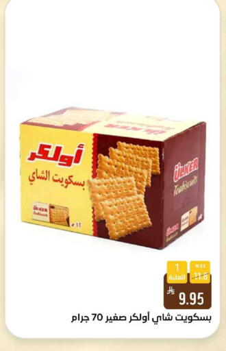 available at شبرا الطائف in مملكة العربية السعودية, السعودية, سعودية - الطائف