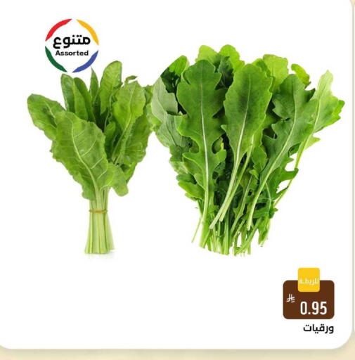 available at شبرا الطائف in مملكة العربية السعودية, السعودية, سعودية - الطائف
