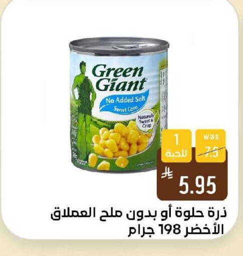 available at Shubra AlTaif in KSA, Saudi Arabia, Saudi - Ta'if