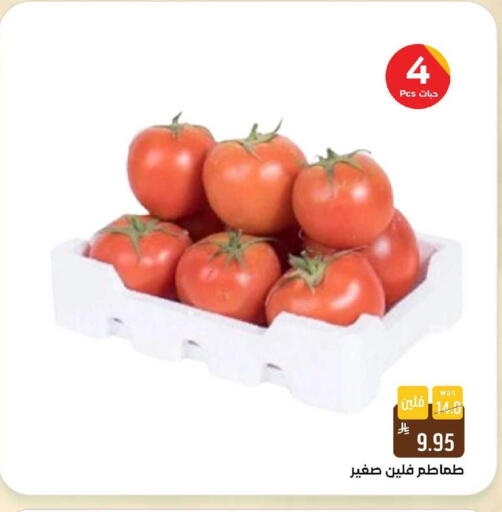 available at شبرا الطائف in مملكة العربية السعودية, السعودية, سعودية - الطائف