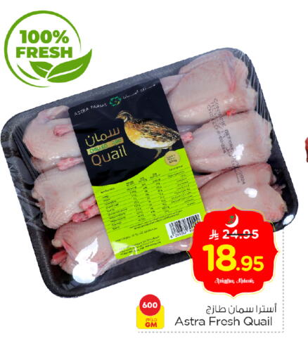 available at Nesto in KSA, Saudi Arabia, Saudi - Al-Kharj