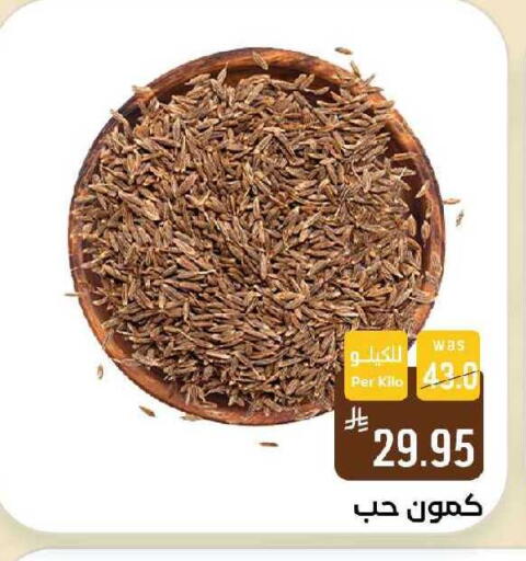 available at شبرا الطائف in مملكة العربية السعودية, السعودية, سعودية - الطائف