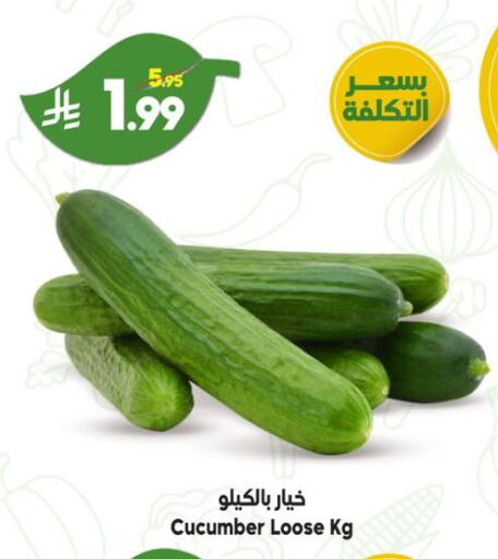 Cucumber available at Dukan in KSA, Saudi Arabia, Saudi - Ta'if