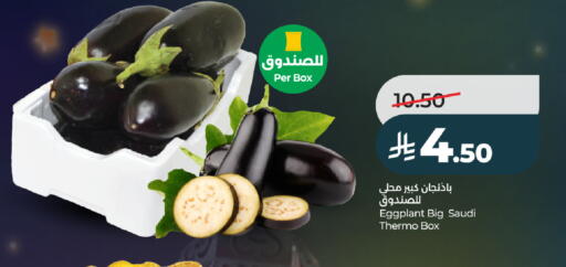 Eggplant from Saudi Arabia available at LULU Hypermarket in KSA, Saudi Arabia, Saudi - Ta'if