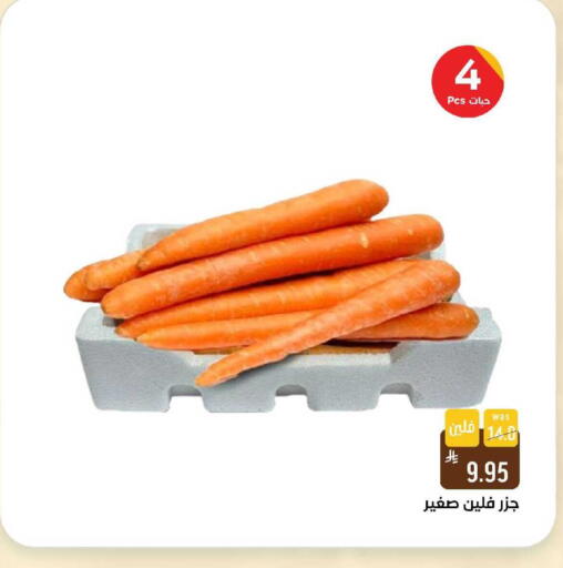 available at شبرا الطائف in مملكة العربية السعودية, السعودية, سعودية - الطائف