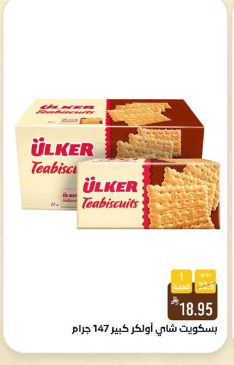 available at شبرا الطائف in مملكة العربية السعودية, السعودية, سعودية - الطائف