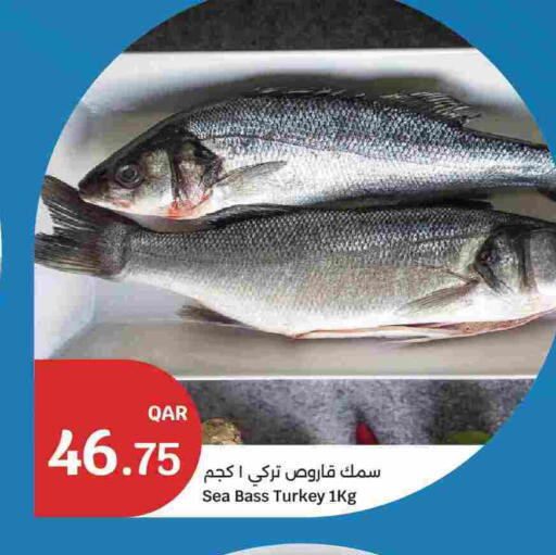 available at City Hypermarket in Qatar - Doha