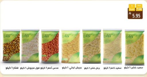 available at شبرا الطائف in مملكة العربية السعودية, السعودية, سعودية - الطائف