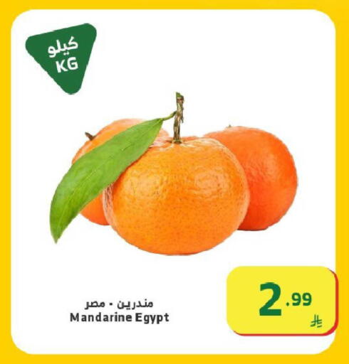 from Egypt available at Al Raya in KSA, Saudi Arabia, Saudi - Ta'if