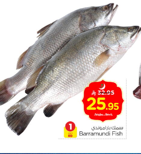 available at نستو in مملكة العربية السعودية, السعودية, سعودية - الخرج