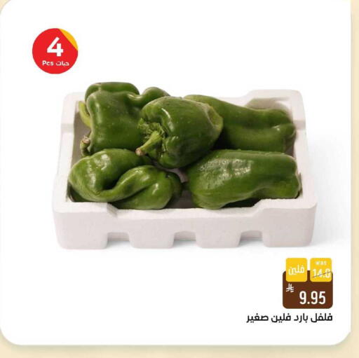 available at شبرا الطائف in مملكة العربية السعودية, السعودية, سعودية - الطائف
